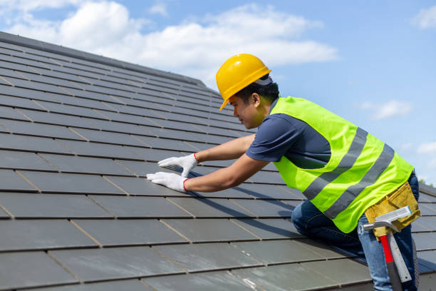 Best Storm Damage Roof Repair  in Elfers, FL