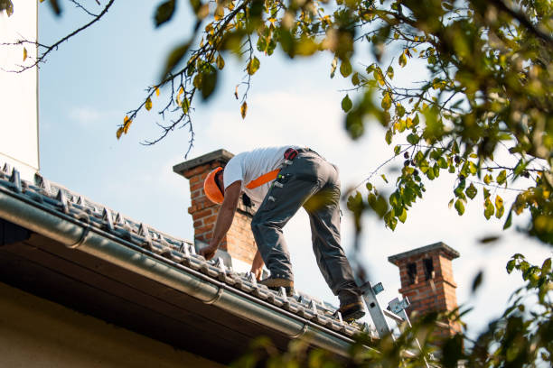 Best Gutter Installation and Roofing  in Elfers, FL