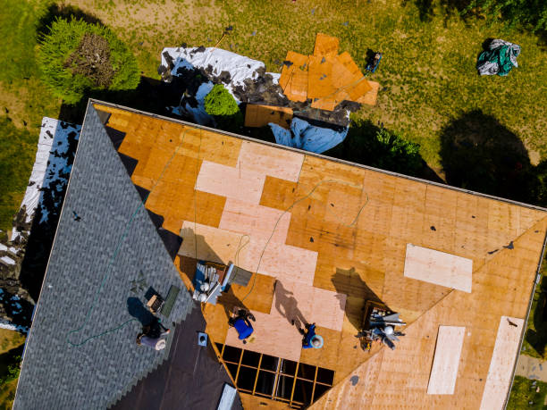 Best Metal Roofing Contractor  in Elfers, FL