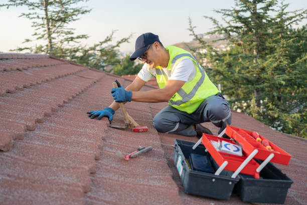 Best Emergency Roof Repair  in Elfers, FL