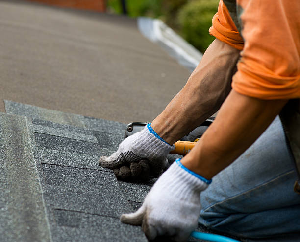 Best Best Roofing Contractors  in Elfers, FL