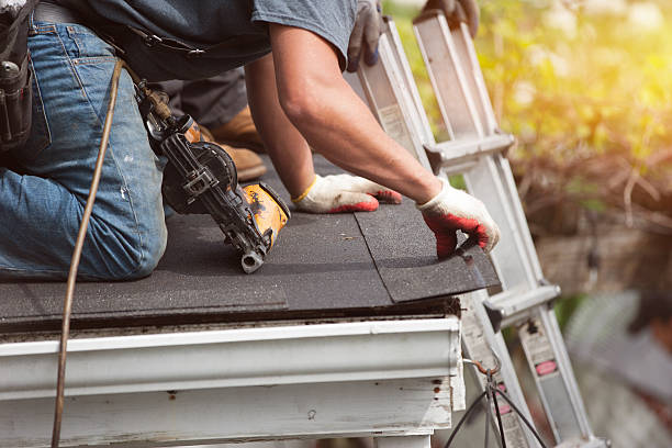 Quick and Trustworthy Emergency Roof Repair Services in Elfers, FL